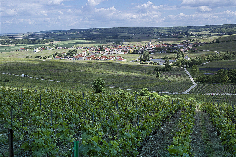 Tour Loire 05 - 201520150521_05216000 als Smartobjekt-1 Kopie.jpg - Spaziergang  über die Weinberge